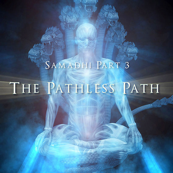 Samadhi Partie 3, Le chemin sans chemin